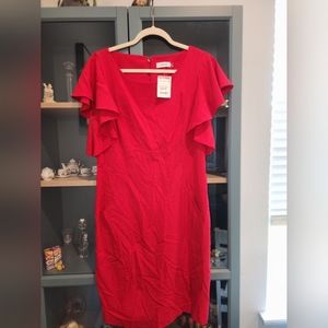 Calvin Klein dress size 12